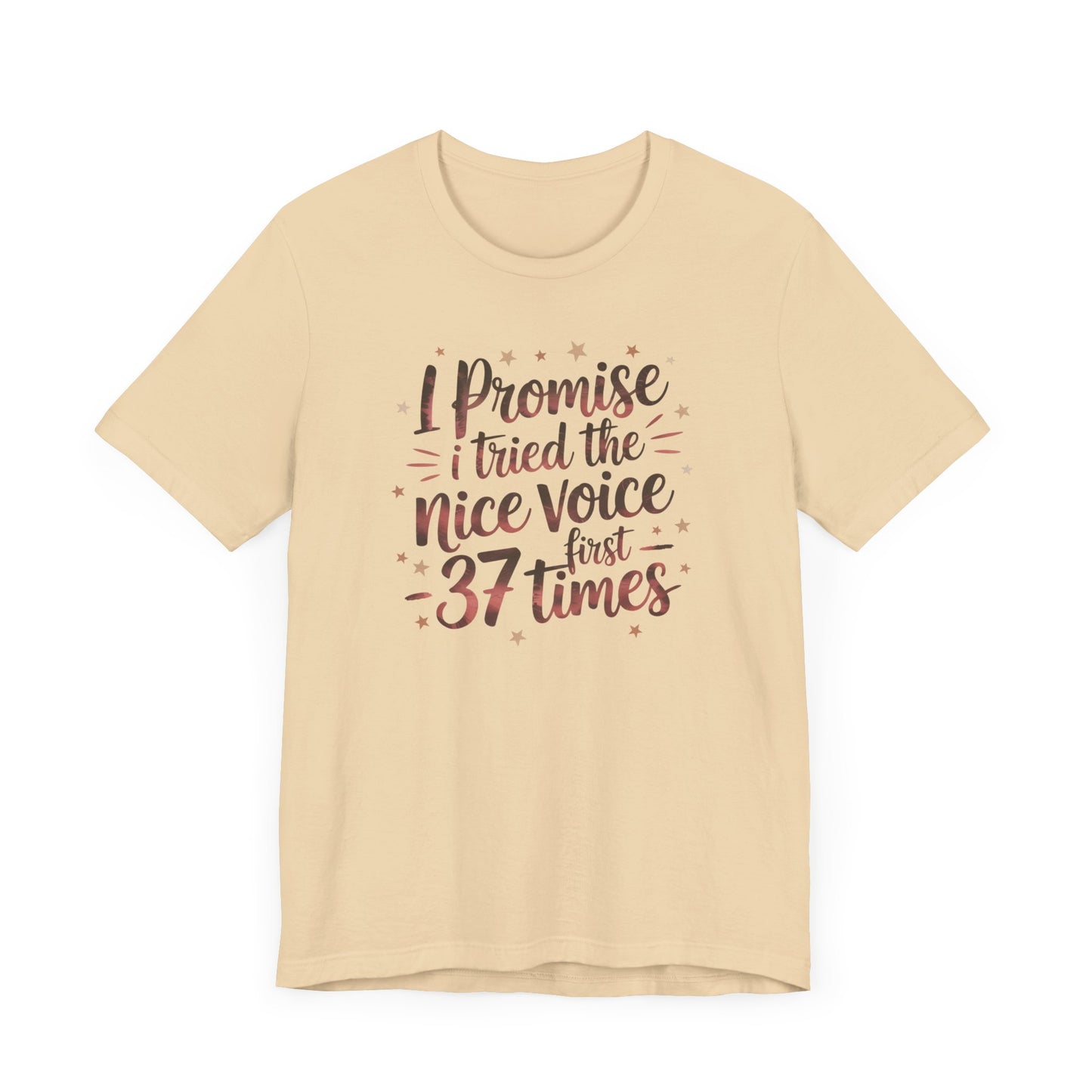 I Promise I Tried the Nice Voice First 37 Times T-Shirt